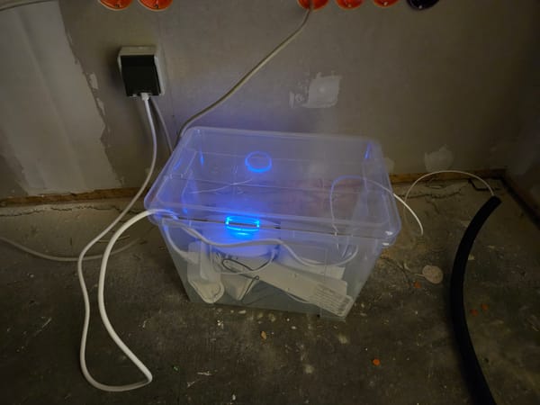 Do, 18.09.2025 - Außenfarbe und "Internet in der Box"